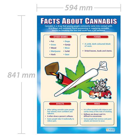 Cannabis Pshe Posters Laminated Gloss Paper Measuring 850mm X 594mm