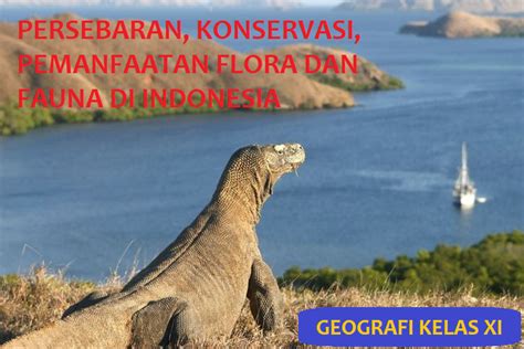 MATERI GEOGRAFI KELAS XI BAB II B.PERSEBARAN, KONSERVASI, PEMANFAATAN FLORA DAN FAUNA DI