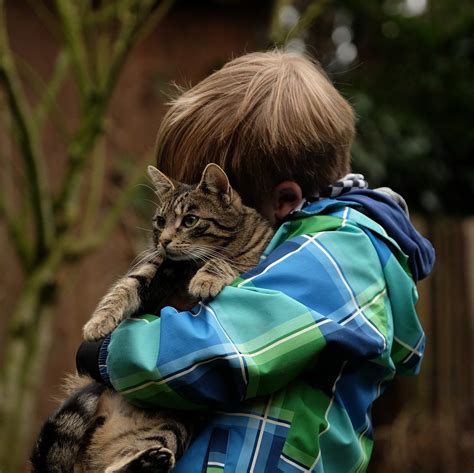 Happy Together Cats And Kids Feline Engineering