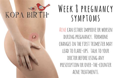 Your womb has grown to the size of a lemon by the time you're around 7 or 8 weeks pregnant. Week 8 Pregnancy: Symptoms, Baby Belly Bump, & Twins ...