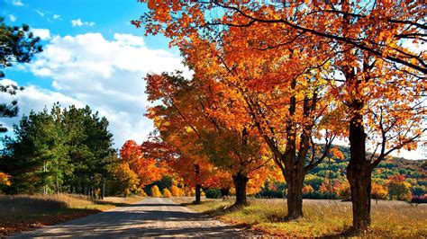Autumn Country Road Scenery Hd Wallpaper Preview