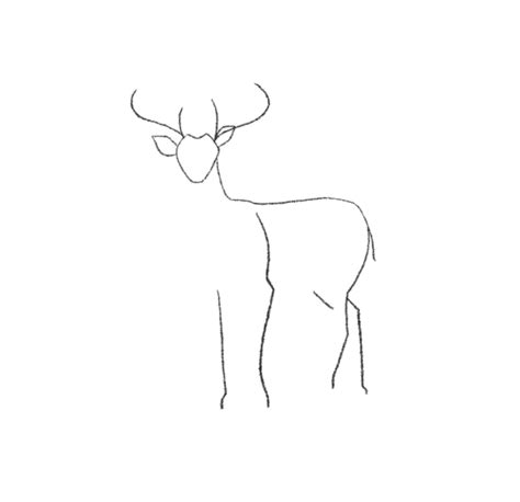How To Draw A Deer Easy Step By Step With Pictures