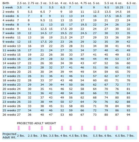 Yorkie Growth Chart Dogs Pinterest Weight Charts Yorkie Puppy