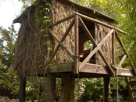 The grand cedar pavilion never ceases to amaze all those who visit. Western Red Cedar Shingles help rejuvenate unsafe den into ...