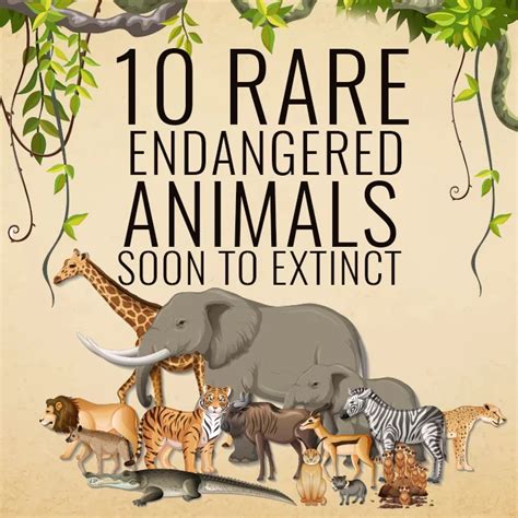 10 Rare Endangered Animals Soon To Extinct