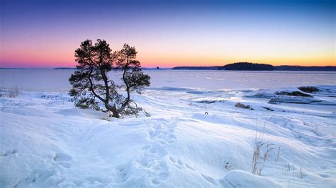 Desktop Wallpaper Winter Snow Lake Tree Skyline Sunset Hd Image