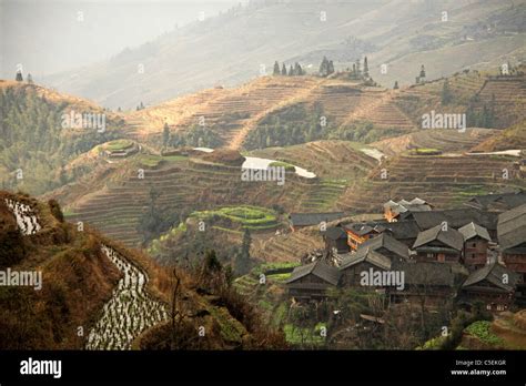 The World Famous Rice Terraces Of Longji Backbone Of The Dragon And The Village Of Ping An