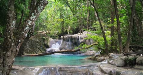 Tropical Rainforest Paradise Background Mountain River Flows Through