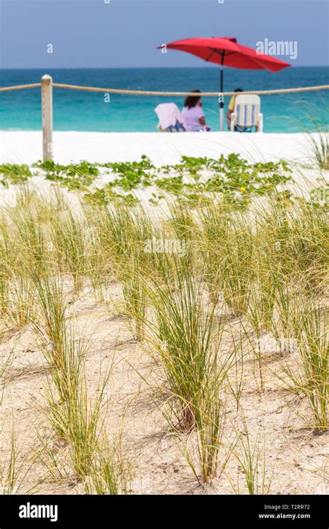 Miami Beach Floridaatlantic Oceanwaterdunesgrassroped Offumbrellaredchairpublic Beach