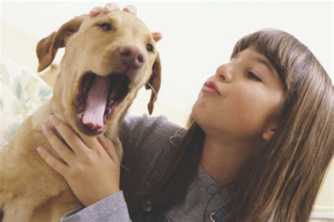 Babies, dogs, cats, birds, mice, rats and even snakes yawn, and some of us were even doing it in the womb. Why do we yawn and is it contagious? | How It Works
