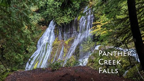 Panther Creek Falls Hike Guide Carson Washington Youtube