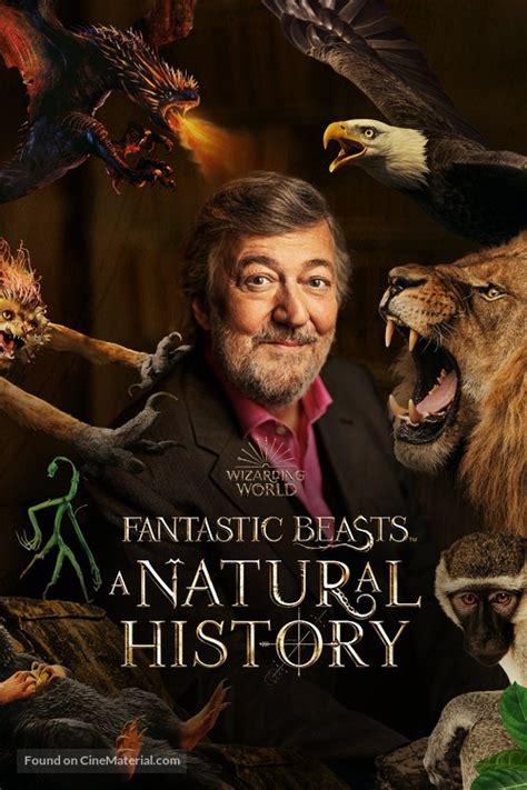 Fantastic Beasts A Natural History 2022 British Video On Demand