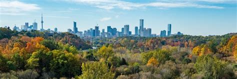 Donate To Urban Forestry City Of Toronto