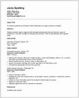 Insurance Claims Adjuster Resume