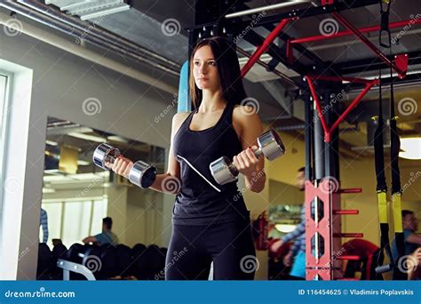 Athletic Brunette Female Holds Dumbbells Stock Image Image Of