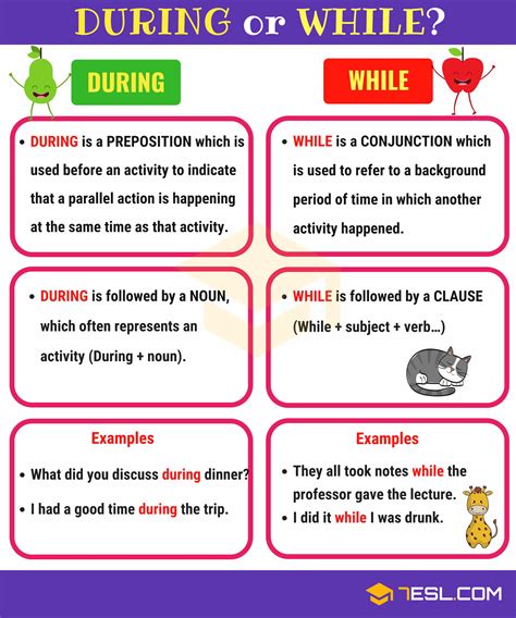 During vs. While | Is During a Preposition? • 7ESL