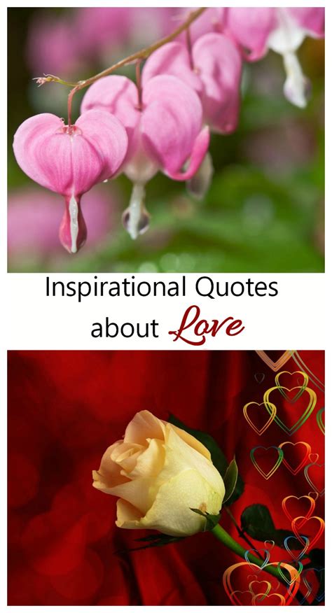 Inspirational Love Quotes Love Messages And Sayings