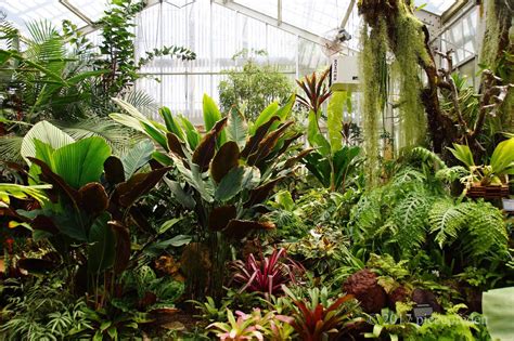 Image Result For Tropical Greenhouse
