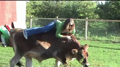 Cow Riding Youtube