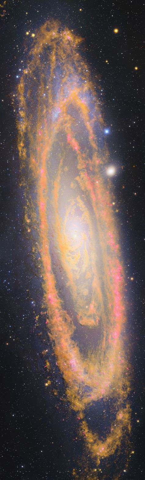 The Andromeda Galaxy M31 ~ A Massive Spiral 25 Million