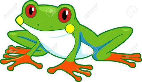 Tree Frog Stock Illustrations Cliparts And Royalty Free Tree Frog