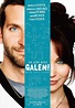 Silver Linings Playbook (#3 of 6): Extra Large Movie Poster Image - IMP ...