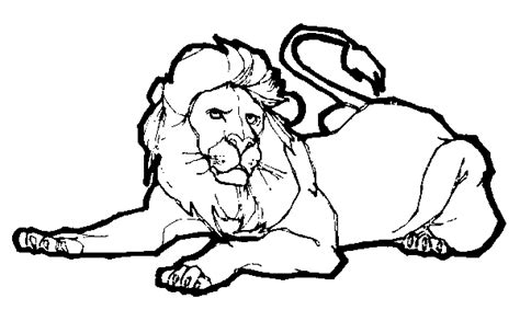 Scary Lion Coloring Pages Clip Art Library