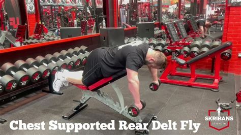 Chest Supported Rear Delt Fly Youtube