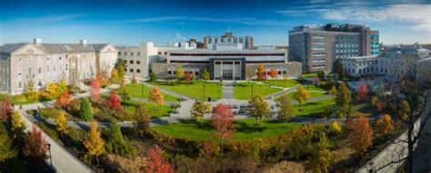 Overview School Of Dental Medicine University At Buffalo