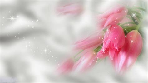 Hd Wallpaper Pink Flowers 72 Images