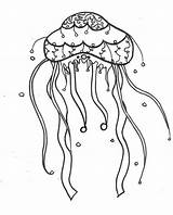 Jellyfish Coloring Mane Lion Lions Drawing Fish Box Getdrawings Colornimbus Sheets sketch template