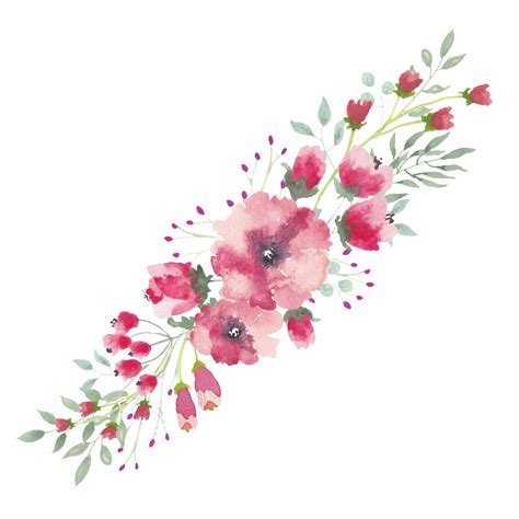 Watercolor Flower Frame Png