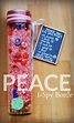 How to Make a Peace I-Spy Bottle for Your Library or Classroom - This ...