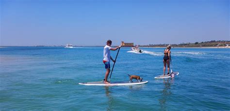 Maybe you would like to learn more about one of these? SUP Verleih an der Praia da Fuseta ab 15 € - CheckYeti