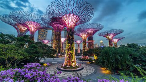 Gardens By The Bay Os Jardins Futurísticos De Singapura