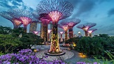 Gardens by the Bay — Park in Singapore: photos, description