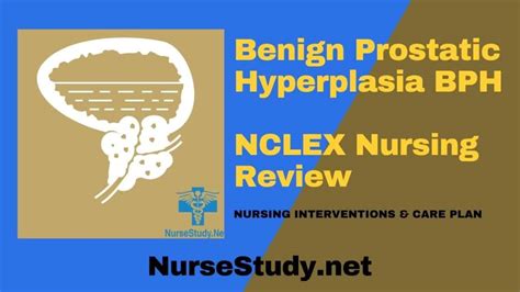 Benign Prostatic Hyperplasia BPH Nursing Care Plans Diagnosis And Interventions NurseStudy Net