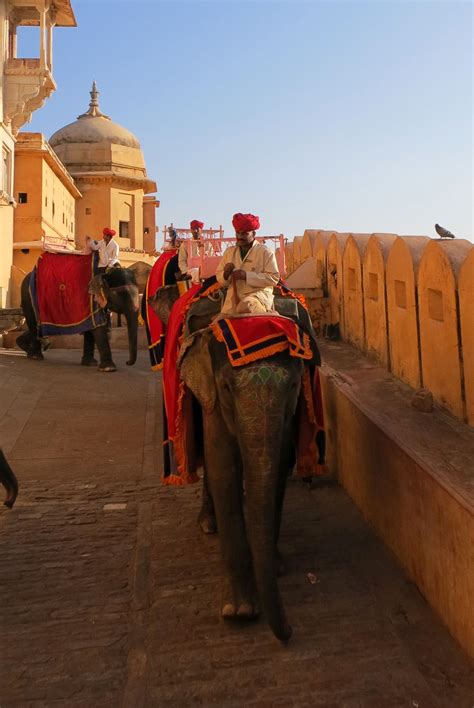 Amber Fort Elephants Walking Up To The Amber Fort Elephant Ride