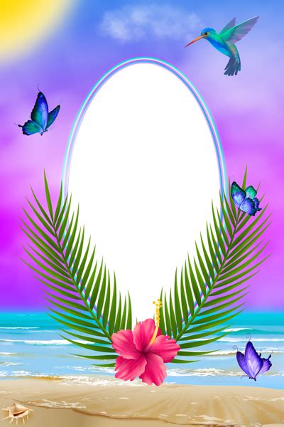 Exotic Summer Png Transparent Frame Frames And Borders Pinterest