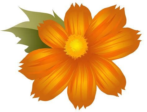 Orange Flower Png Orange Flower Png Transparent Free For Download On