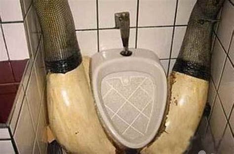 Lol 30 Most Epic And Creative Toilets Around The World
