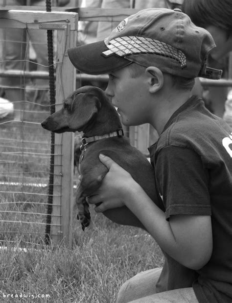 Wiener Dog Nationals Breadwig Wiener Dog Dachshund Love Dog Foto