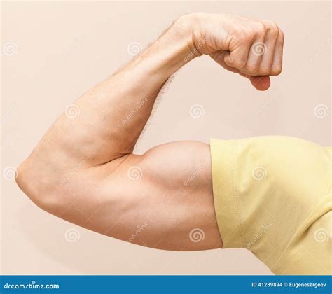 Strong Male Arm Shows Biceps Stock Photo Image Of Fitness Beauty