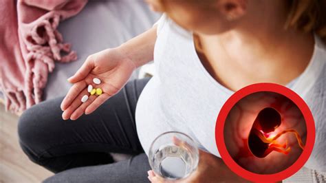¿qué Medicamentos Están Prohibidos Durante Embarazo Y Por Qué Salud180