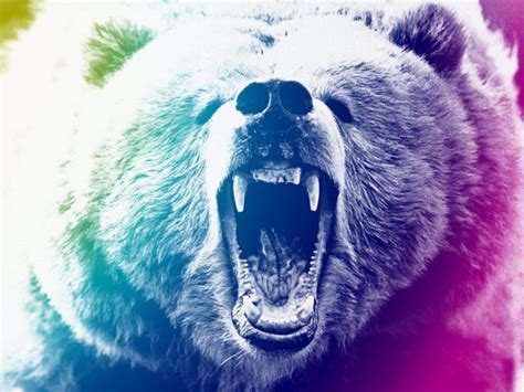 Grizzly Grizzly Bear Art Hd Wallpaper Peakpx