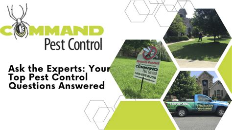 Ask The Experts Your Top Pest Control Questions Answered