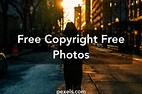 250+ Interesting Copyright Free Photos · Pexels · Free Stock Photos