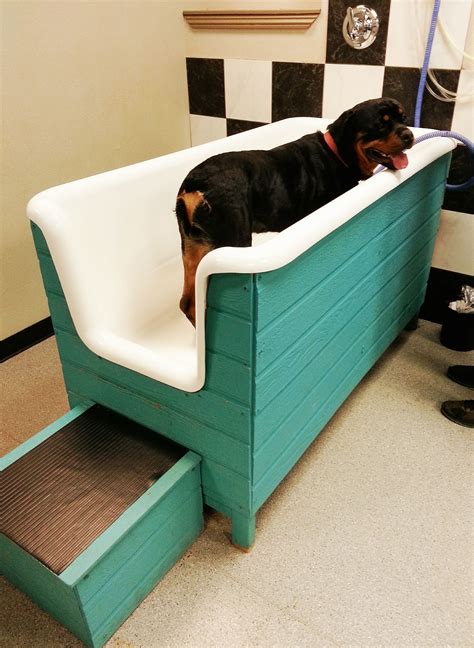 Maybe you would like to learn more about one of these? Visit the post for more. | Dog wash, Dog bath, Dog washing station