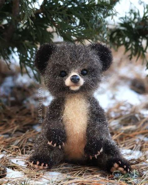 These Cute Fluffy Animals Are True Works Of Art Fluffy Animals