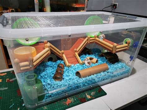 Pin By Laurie Lafranchise On Hamster House Ideas Hamster Habitat Hamster Diy Hamster Cages